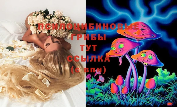 герыч Верхний Тагил